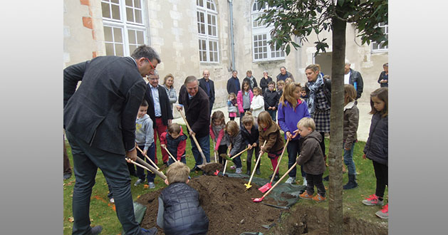 arbre-climat