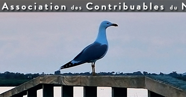 association-des-contribuables