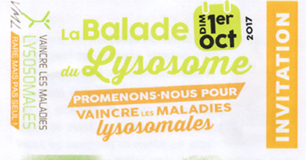 balade-lysosome-une