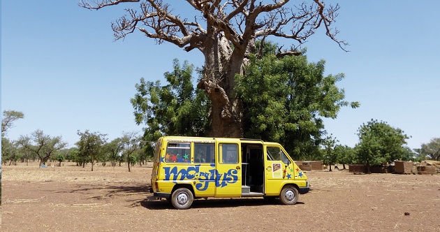 baobab