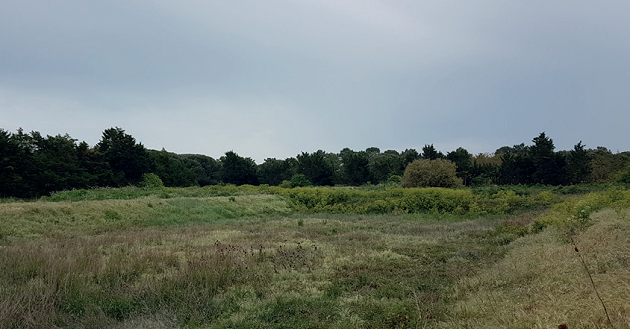 ecologie-la-flotte