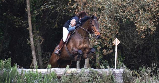 equitation