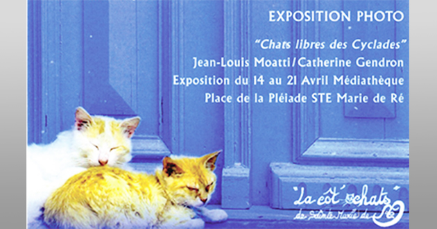 expo-chats-une