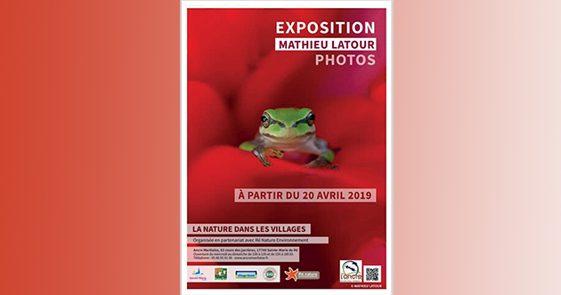 expo-mathieu