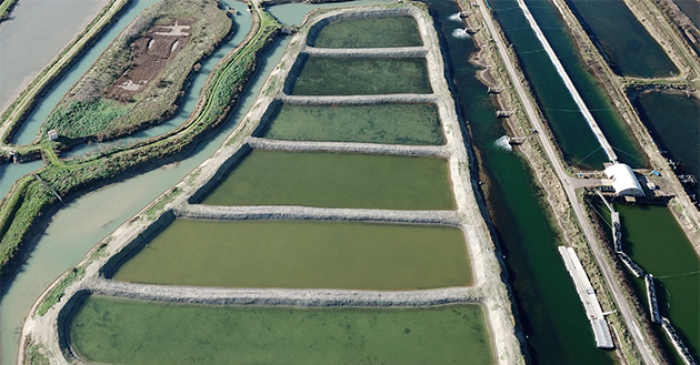 ferme-des-baleines