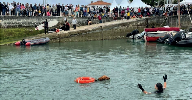 fete-port-la-flotte