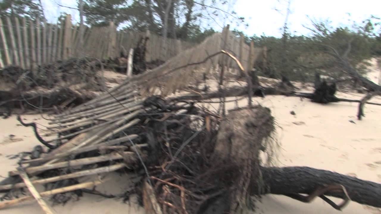 ile-de-re-apres-tempete-7-janvier-2014