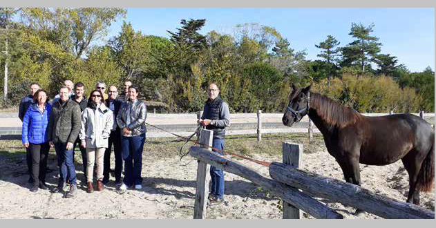 ile-de-re-galop