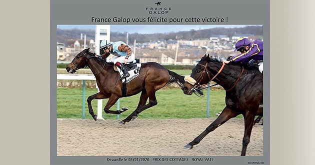 ile-de-re-galop