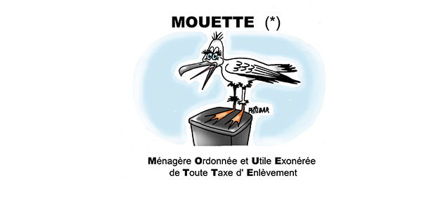 mouette