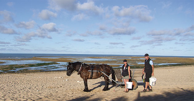 plage-ste-marie-ecotaxe