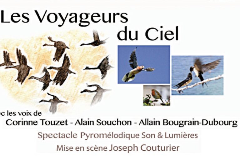 sites-en-scene-oiseaux