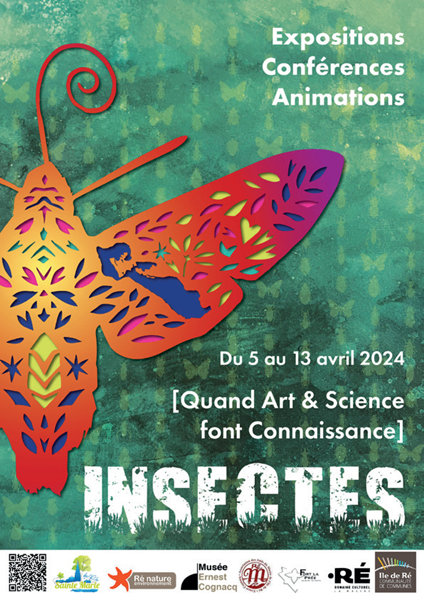 insectes