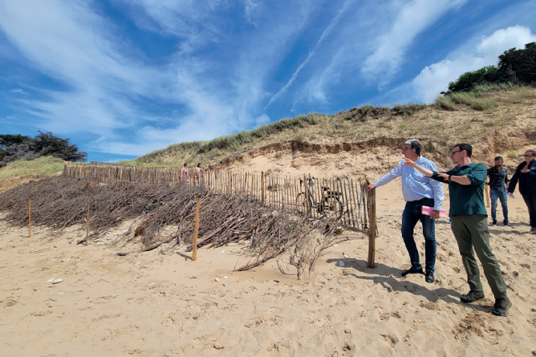 dunes