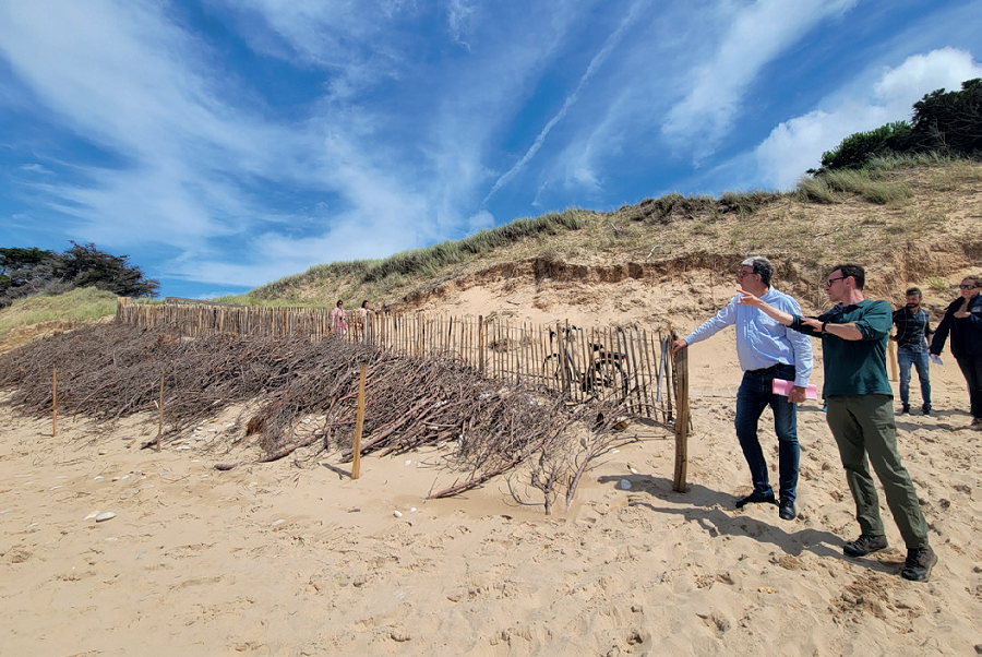 dunes