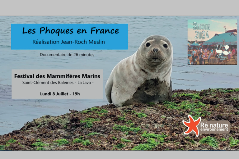 phoque