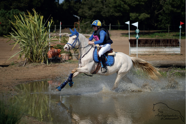equitation