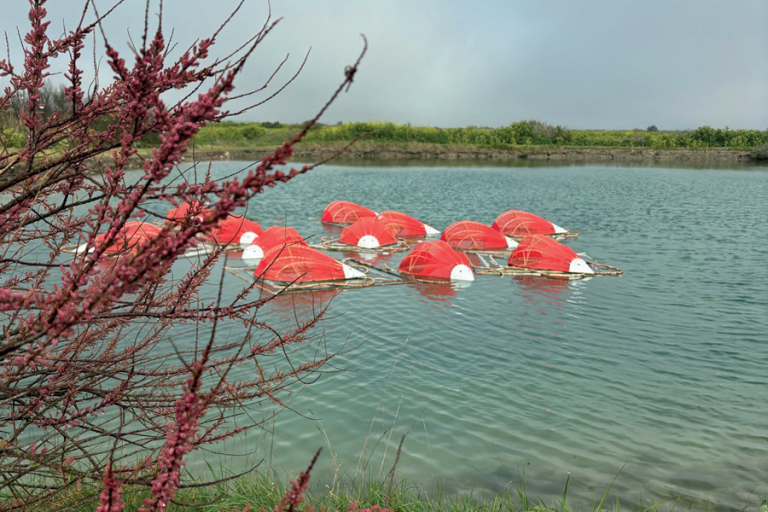 land-art
