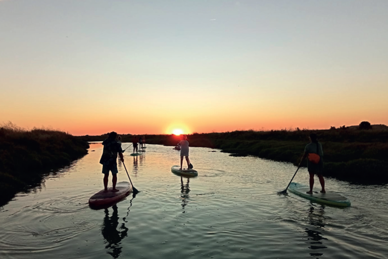 paddle