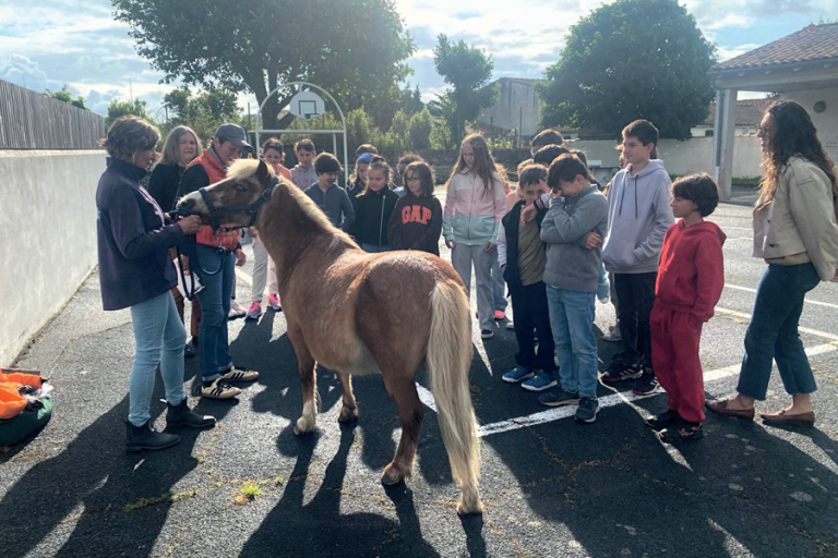 cheval