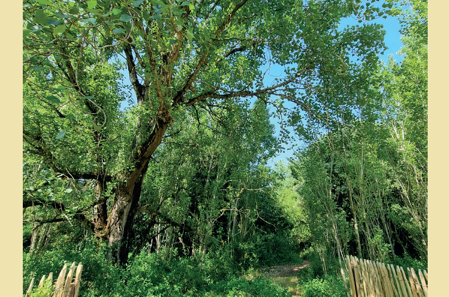 environnement1