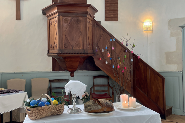 Image de l'actu de Ré à la Hune