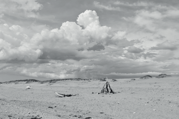 Image de l'actu de Ré à la Hune