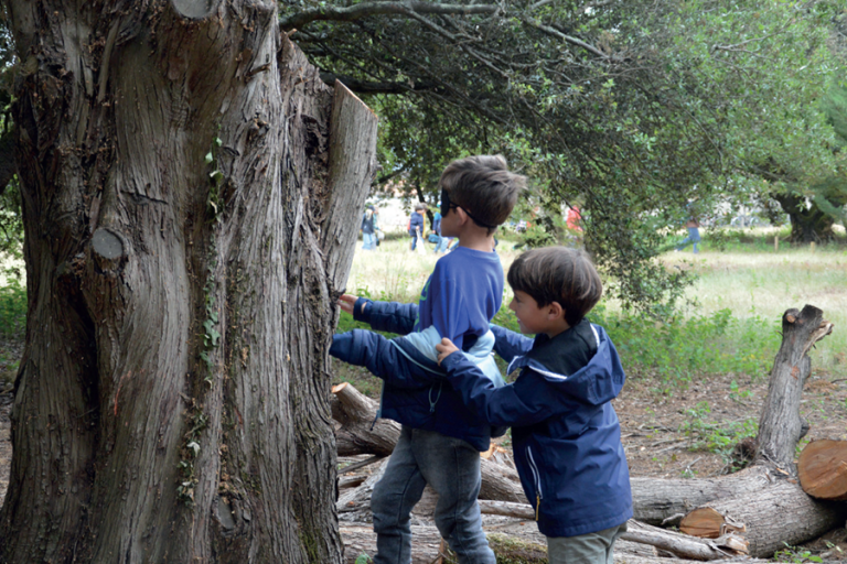 ecoliers
